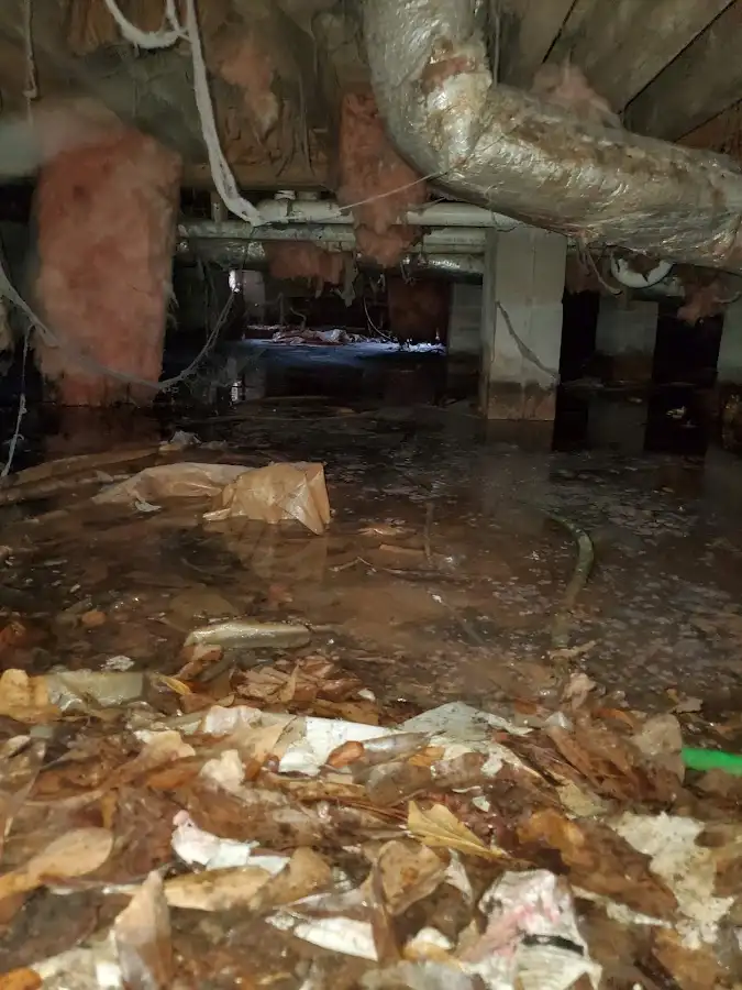 Crawl space flood assessment for Commercial Water Damage Restoration in South Whittier